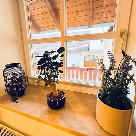 Vierseithof Appartamento *